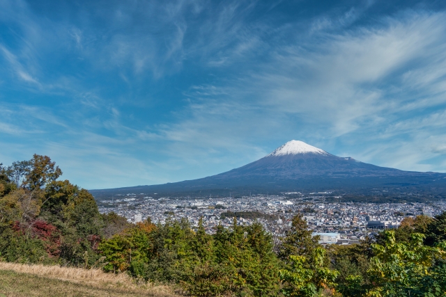 市町別の注目制度（静岡市・浜松市・焼津市など）